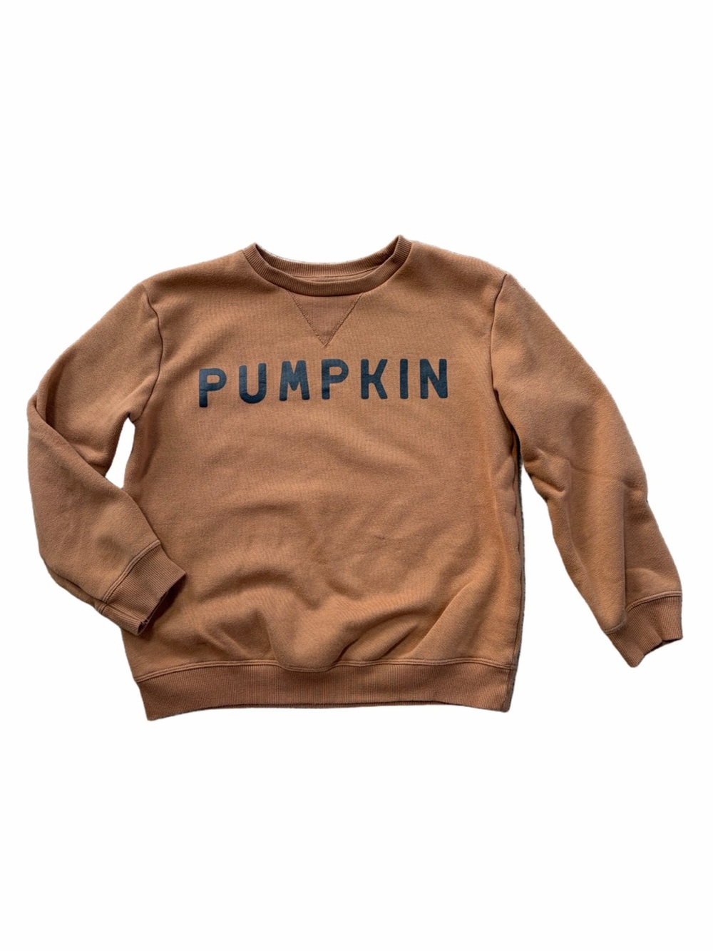 Little Co. Size 8 Brown Pumpkin Fall Crewneck Pullover Sweatshirt